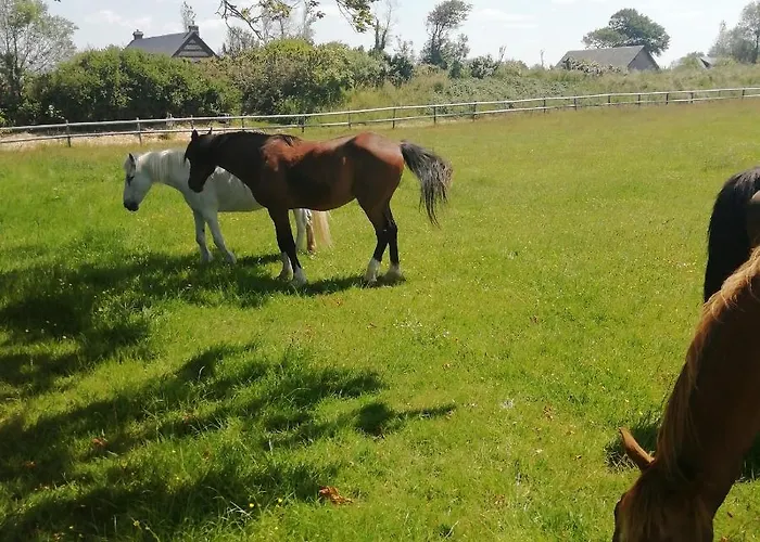 2 Pers Jardin Parking A Sur Mer, Le De L'albatre * Vattetot-sur-Mer